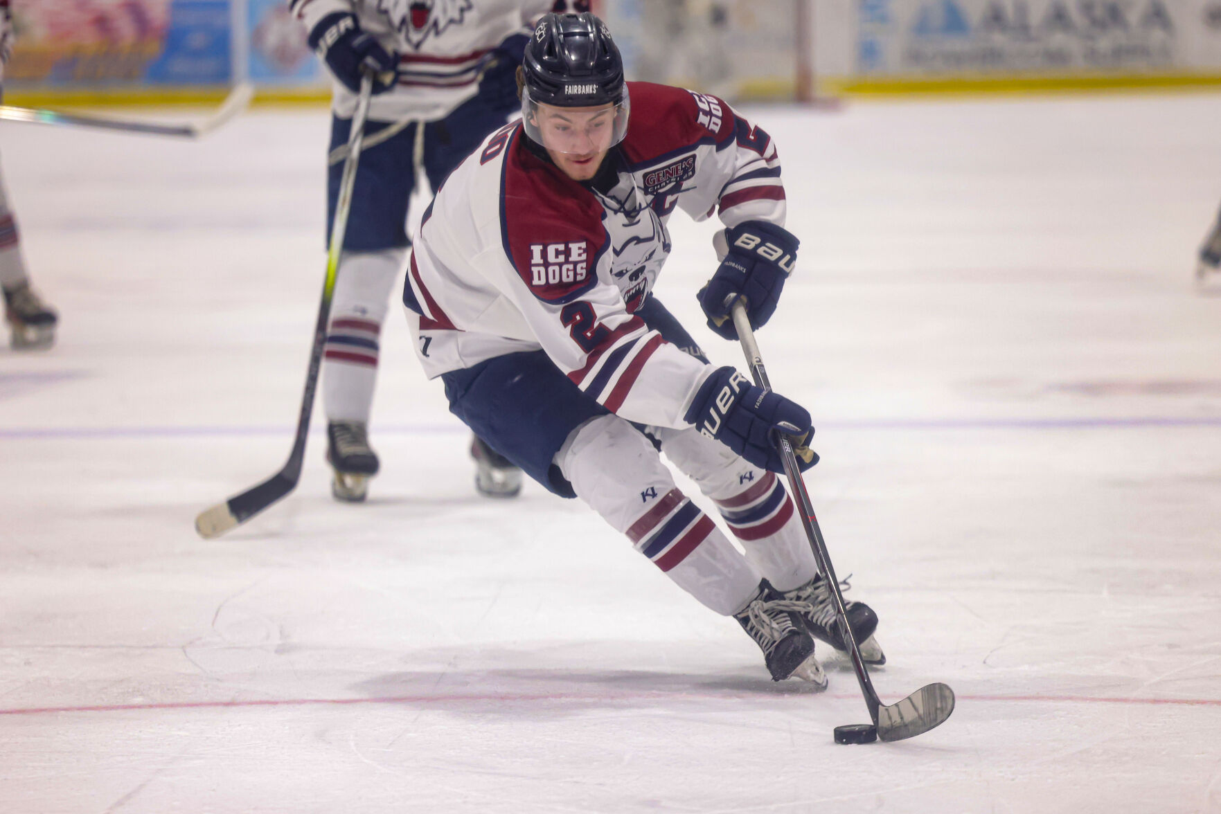 The 2024-25 Ice Dogs season by the numbers